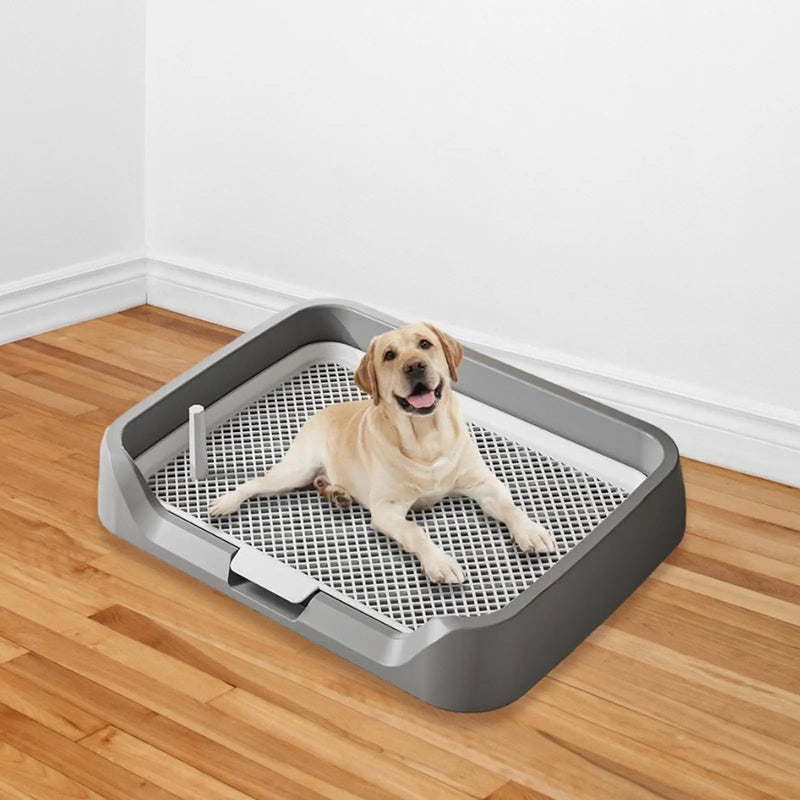 Pee Pad Holder Potty Pads Reusable Mesh Open Top Training Toilet Potty Tray Comfortable Toilet with Protection for Large Puppy