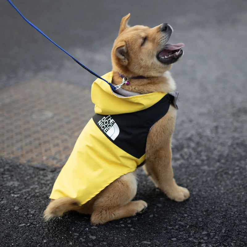 Waterproof Raincoat Jacket for Dogs Teddy Spring Autumn Handsome Pet Clothing Popular Doggy Outerwear