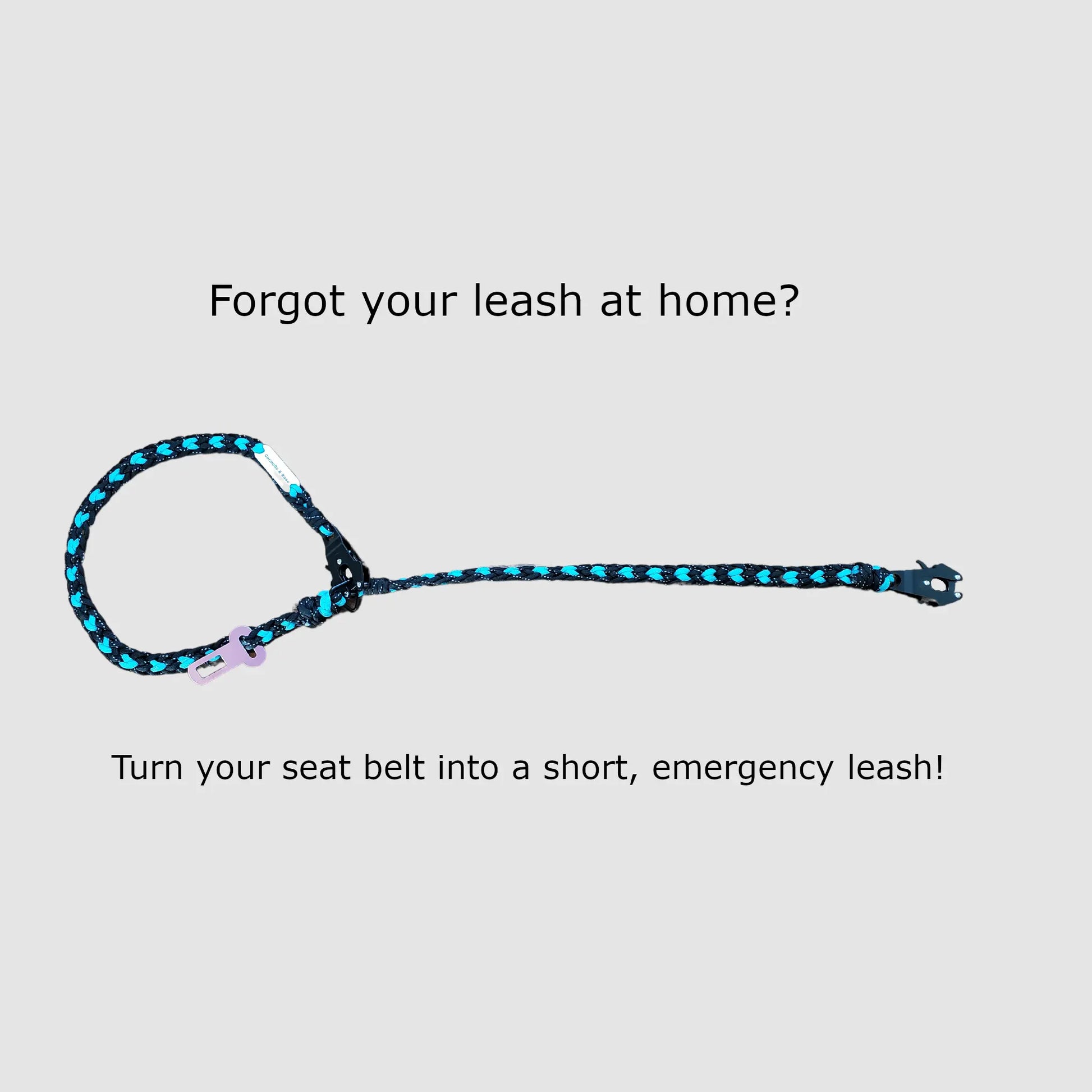 Seat Belt Tether (4-in-1 Connect) Carmella & Rose