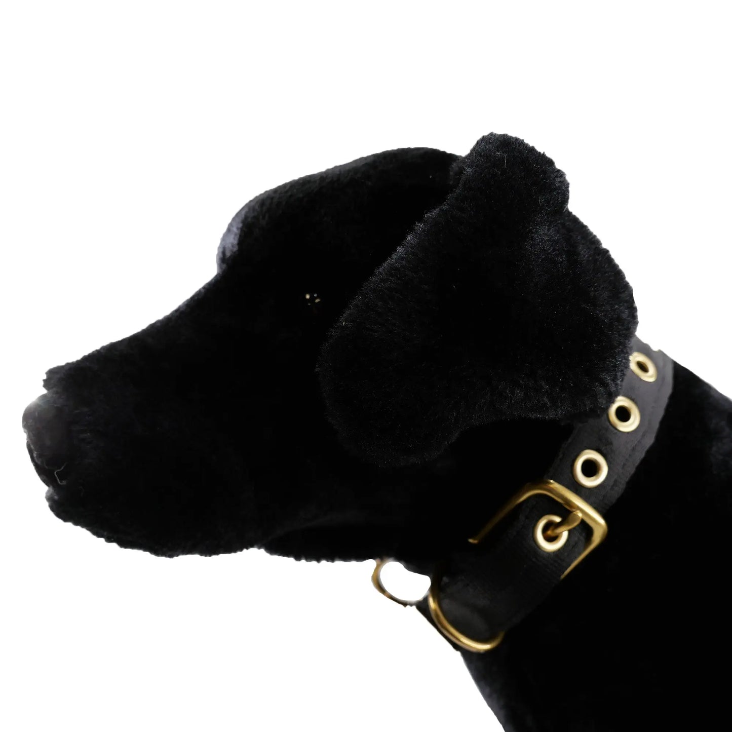 Collars Seatbelt American Dog