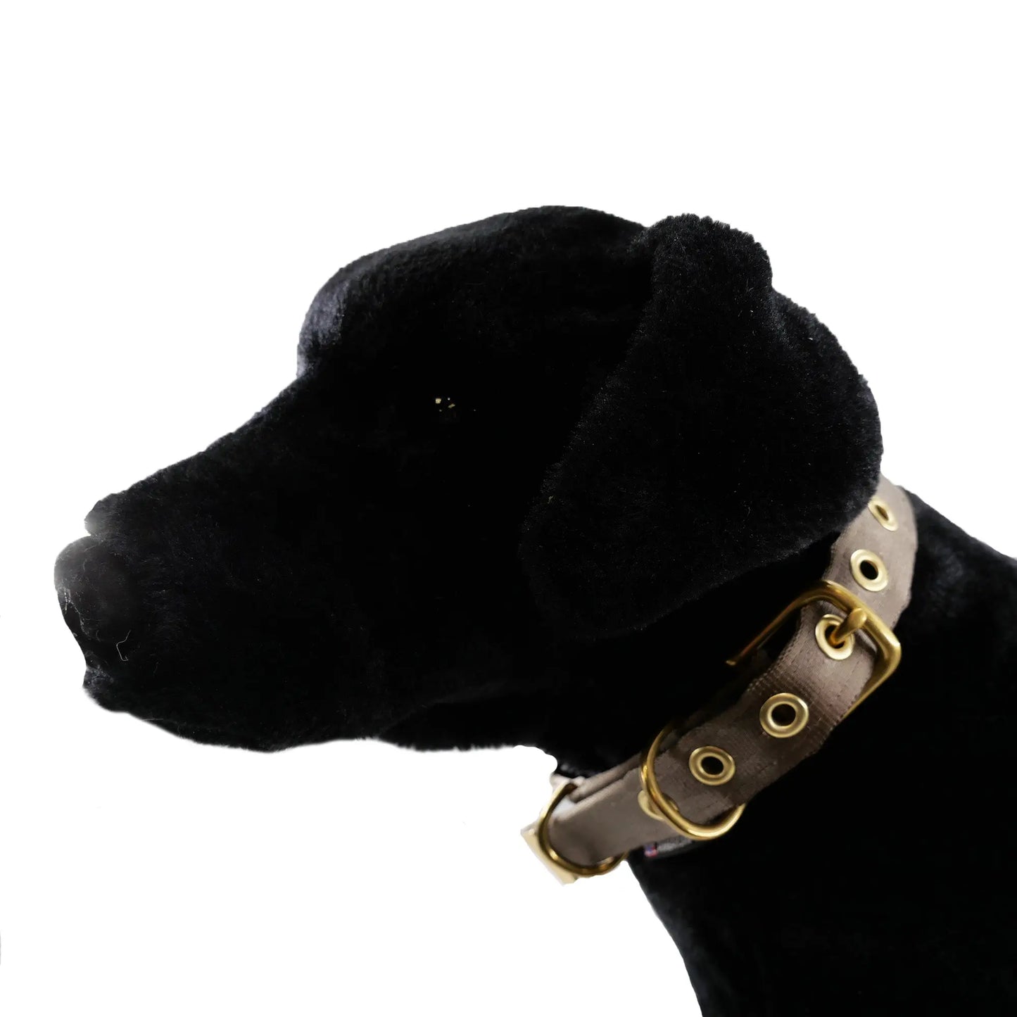 Collars Seatbelt American Dog