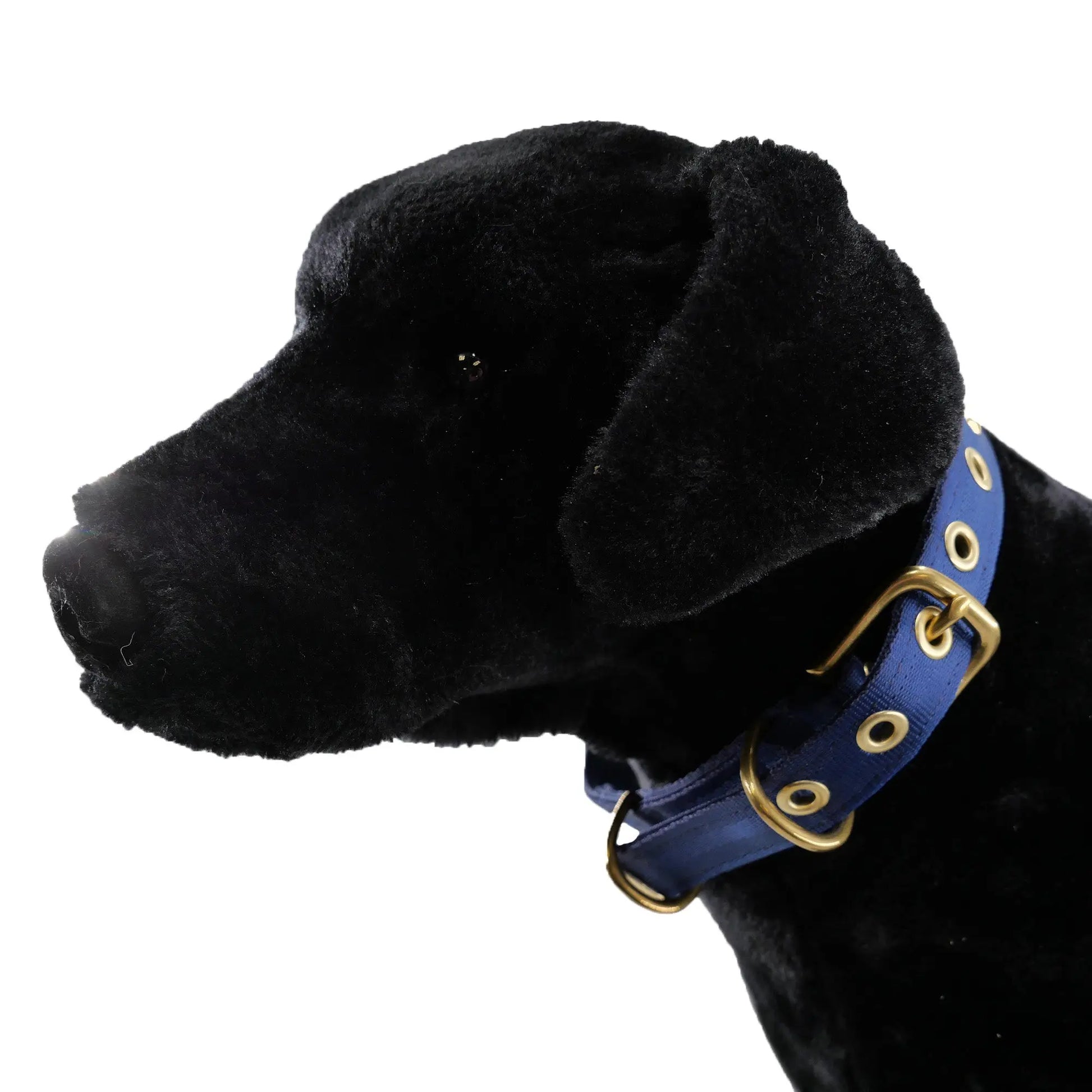 Collars Seatbelt American Dog