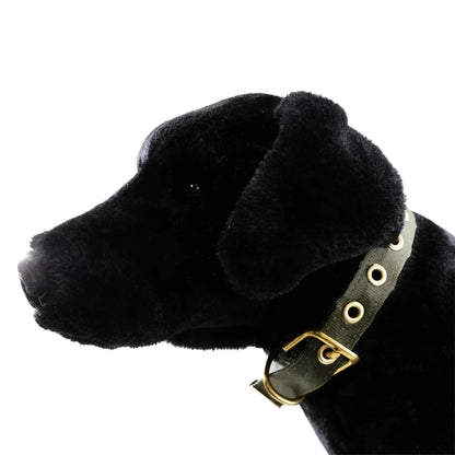 Collars Seatbelt American Dog