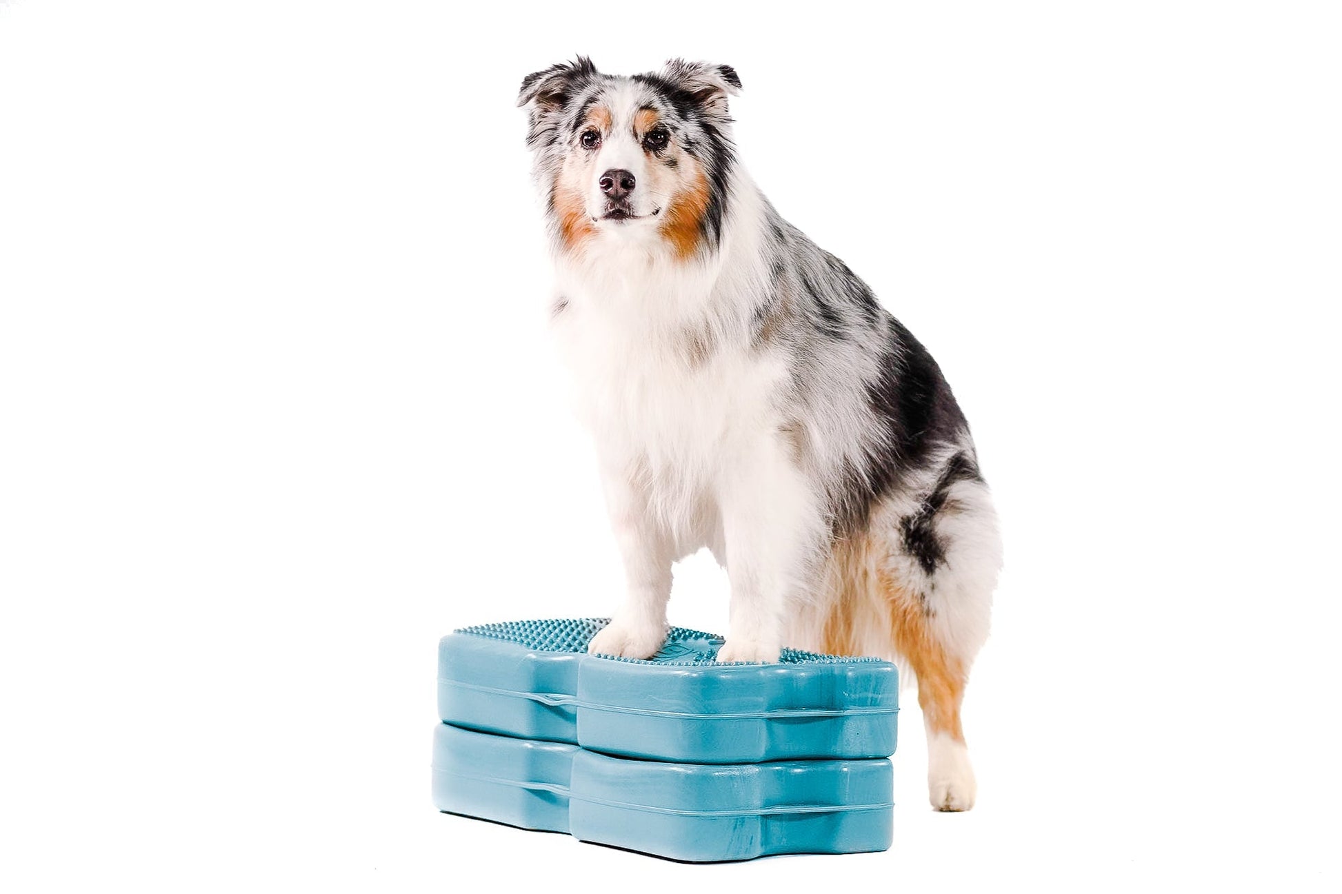 Propel Air Platform Blue-9 Pet Products
