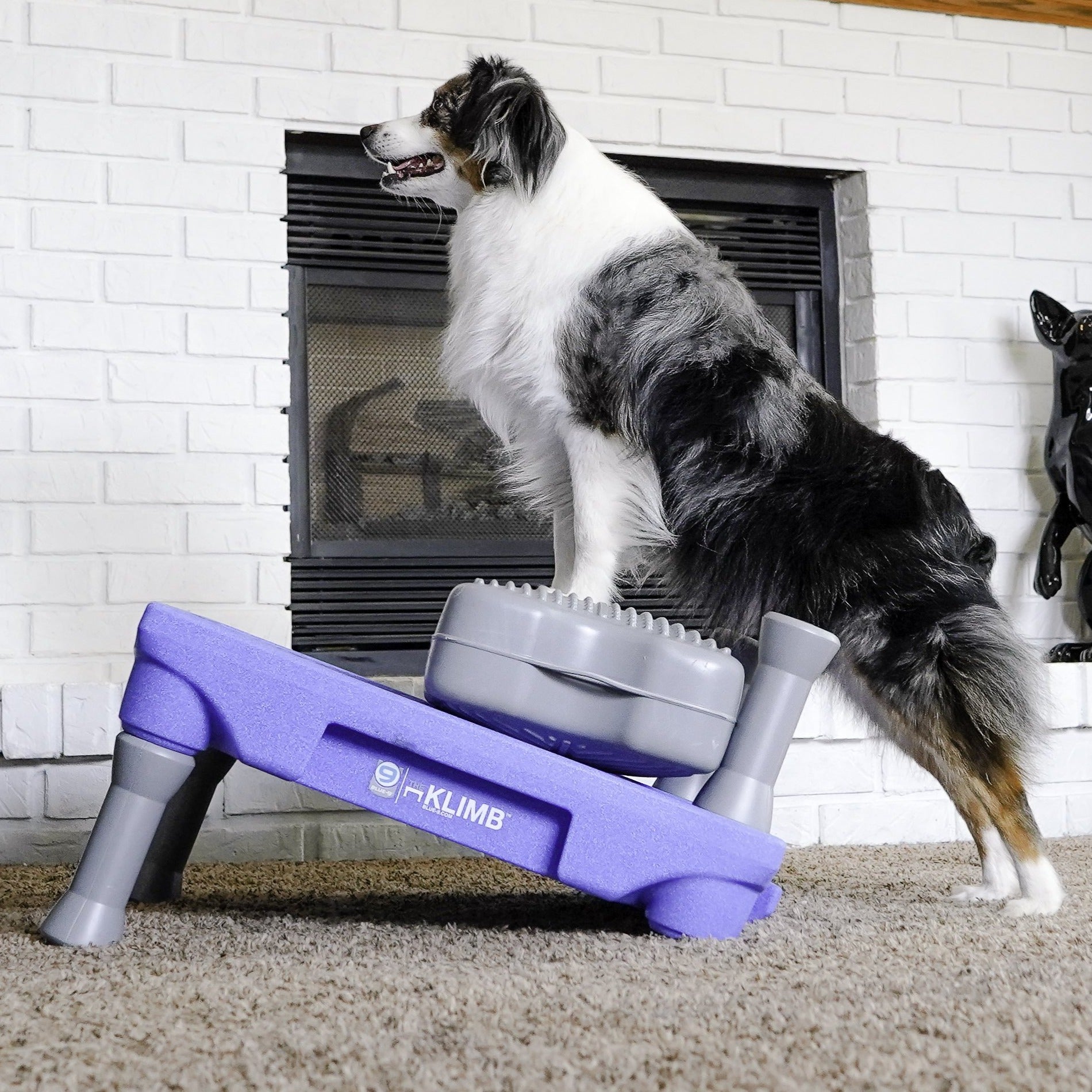 KLIMB Blue-9 Pet Products
