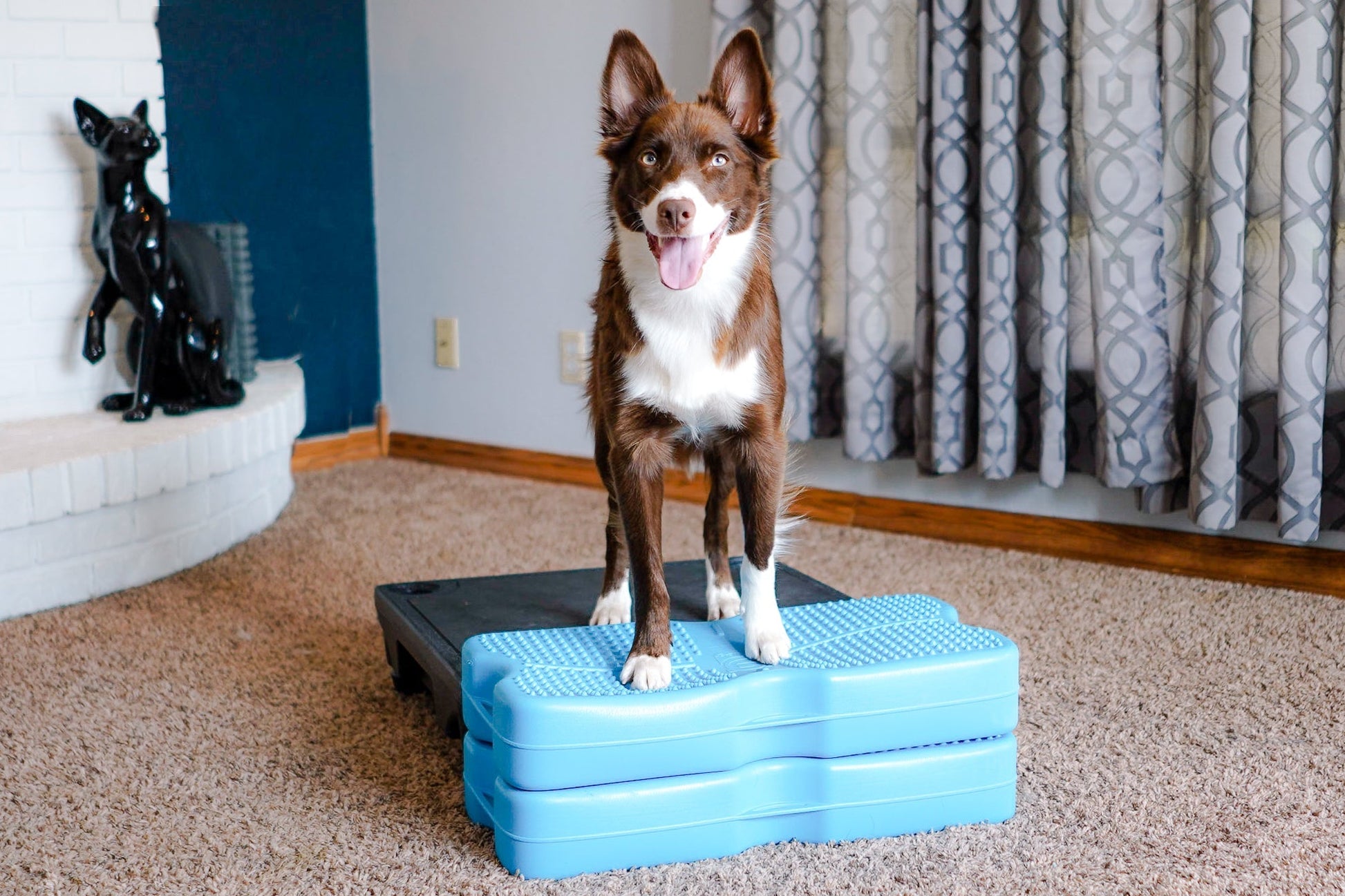 Propel Air Platform Blue-9 Pet Products