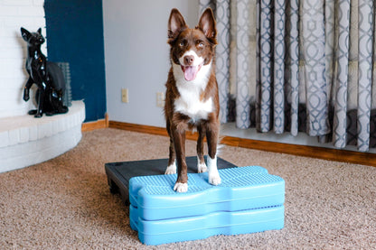 Propel Air Platform Blue-9 Pet Products