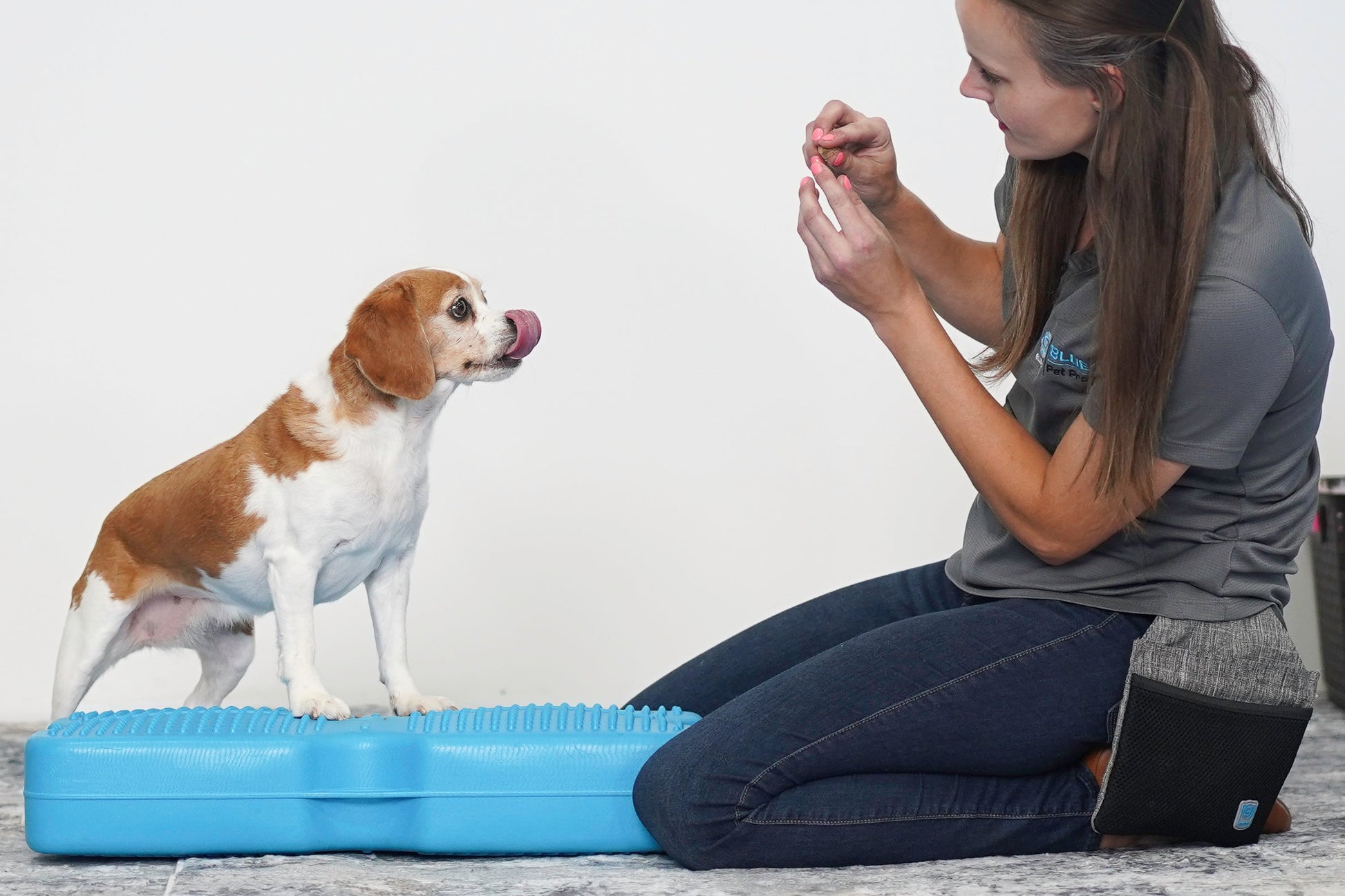 Propel Air Platform Blue-9 Pet Products