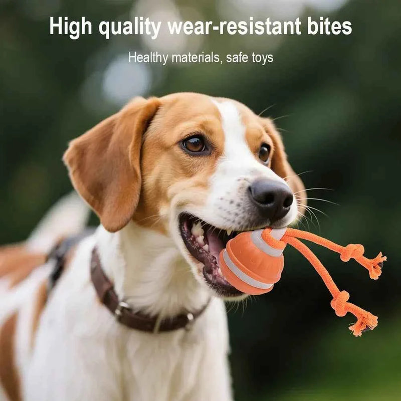 RolliPlay™ Smart Pet Ball 🐾⚡ Endless Chase Fun