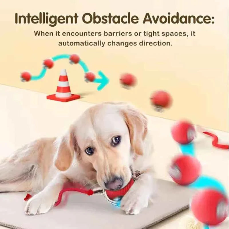 Self-satisfied cat toys that can be bitten by long-lasting smart cat balls automatically avoid pets with ropes and jump balls
