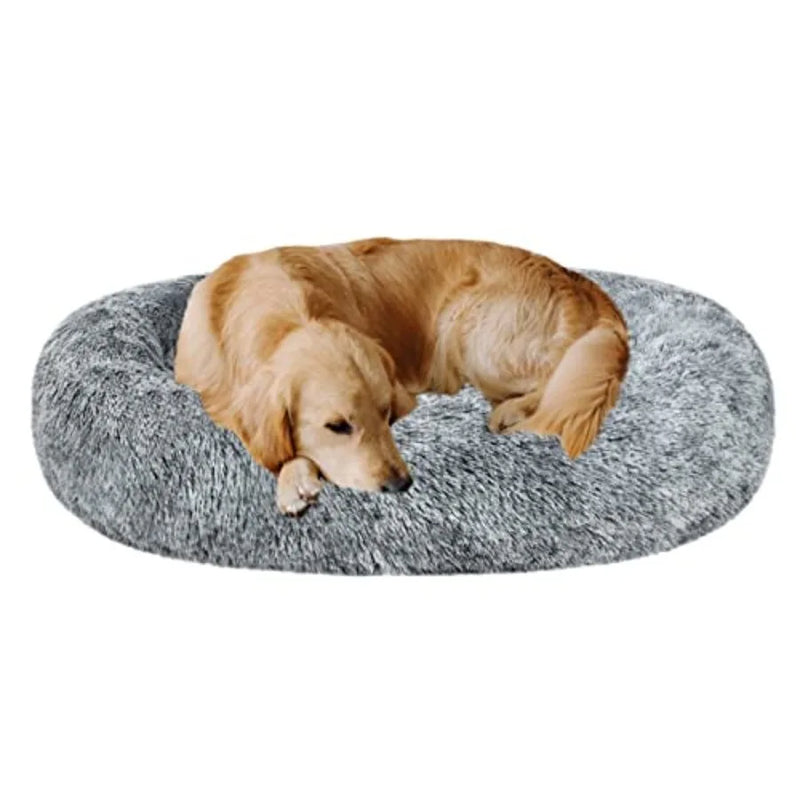 Premium Orthopedic Memory Foam Dog Bed - Charcoal (Medium) (LP)