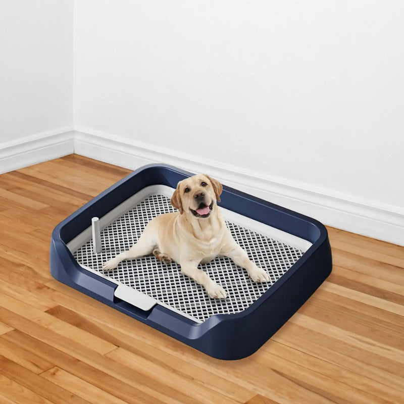 Pee Pad Holder Potty Pads Reusable Mesh Open Top Training Toilet Potty Tray Comfortable Toilet with Protection for Large Puppy