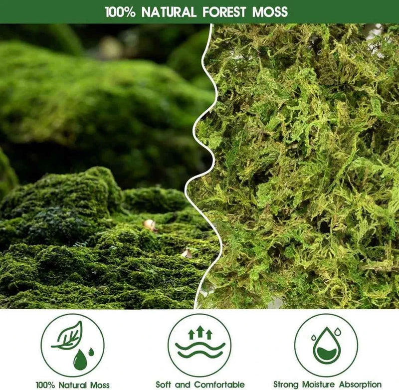 14OZ Natural Sphagnum Moss for Reptiles, Terrarium Bedding & Substrate for Snakes, Gecko, Frogs (50QT)