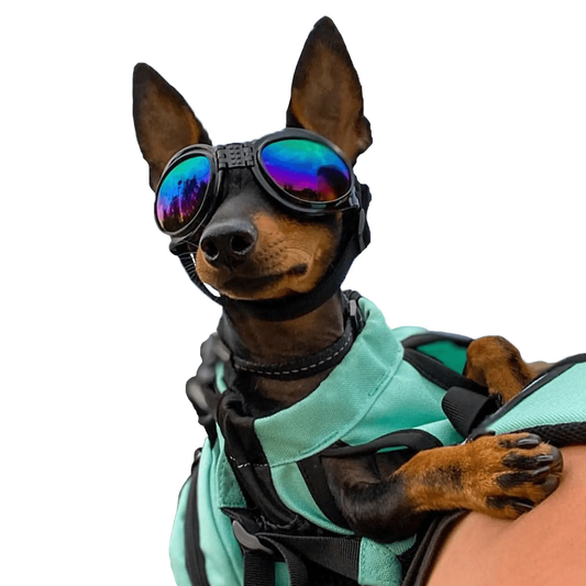 K9 Sport Shades - Dog Goggles K9 Sport Sack