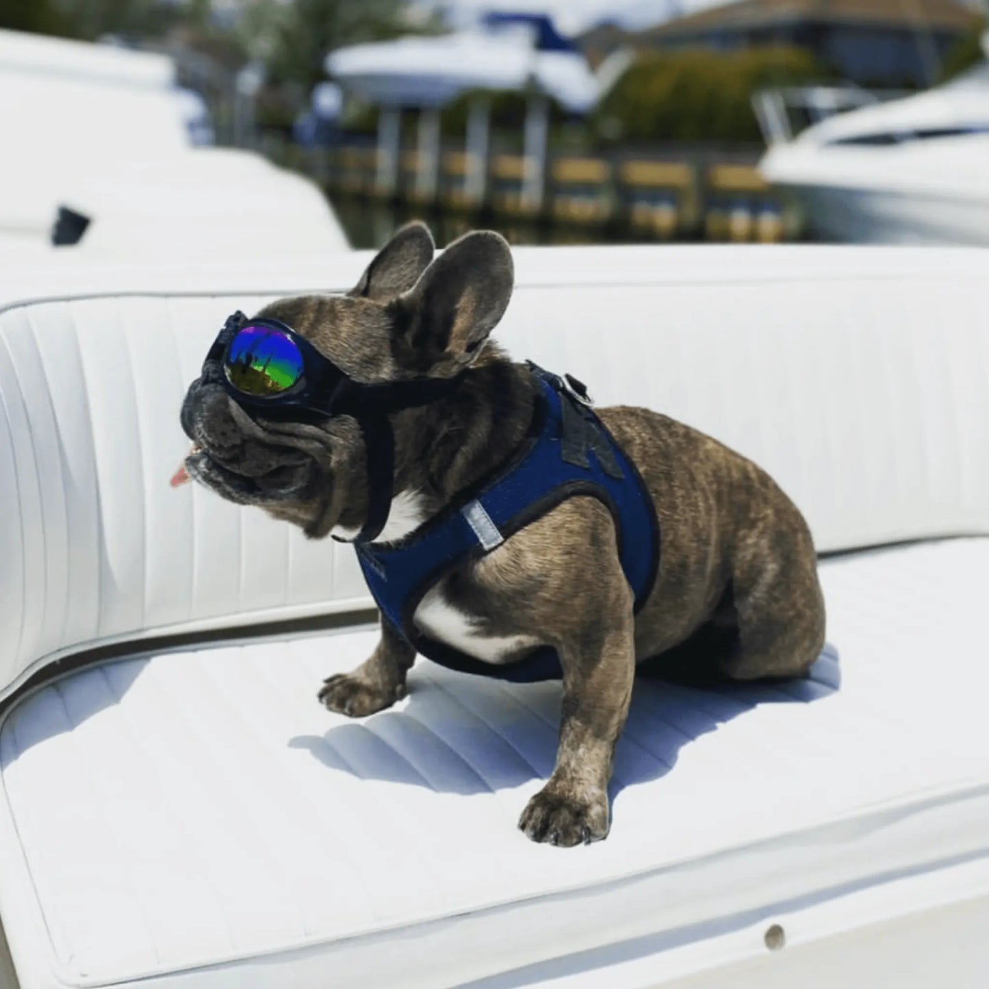 K9 Sport Shades - Dog Goggles K9 Sport Sack