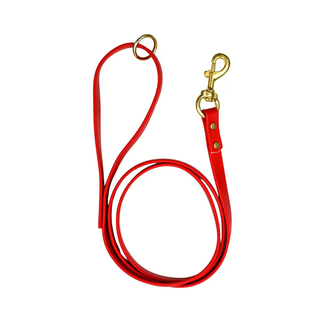 Cranberry Crush Biothane Leash Le Gray Haus