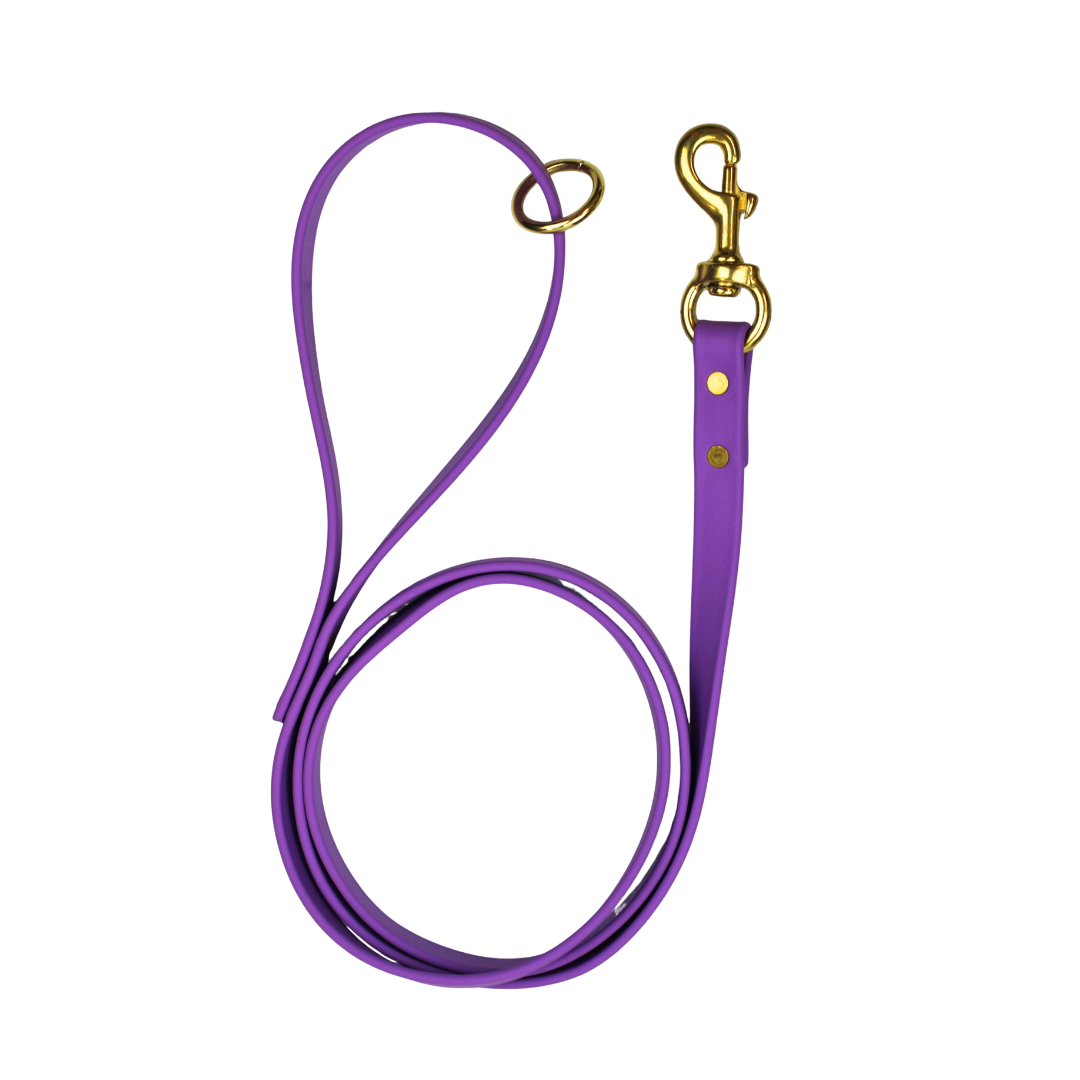 Taro Tango Biothane Leash Le Gray Haus