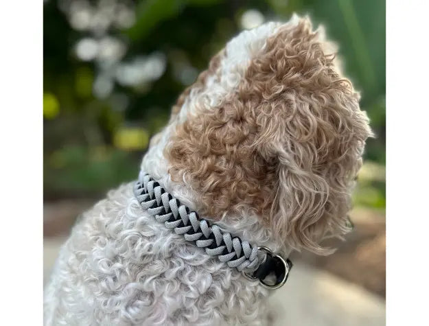 Fishtail Hand Braided Dog Collar in Black & Smoke Pawsh Pup Co.