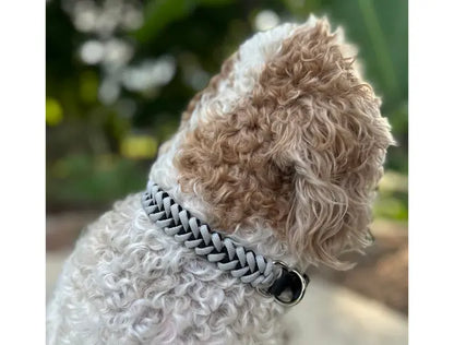 Fishtail Hand Braided Dog Collar in Black & Smoke Pawsh Pup Co.