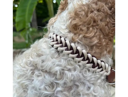 Fishtail Hand Braided Dog Collar in Burgundy & Cream Pawsh Pup Co.
