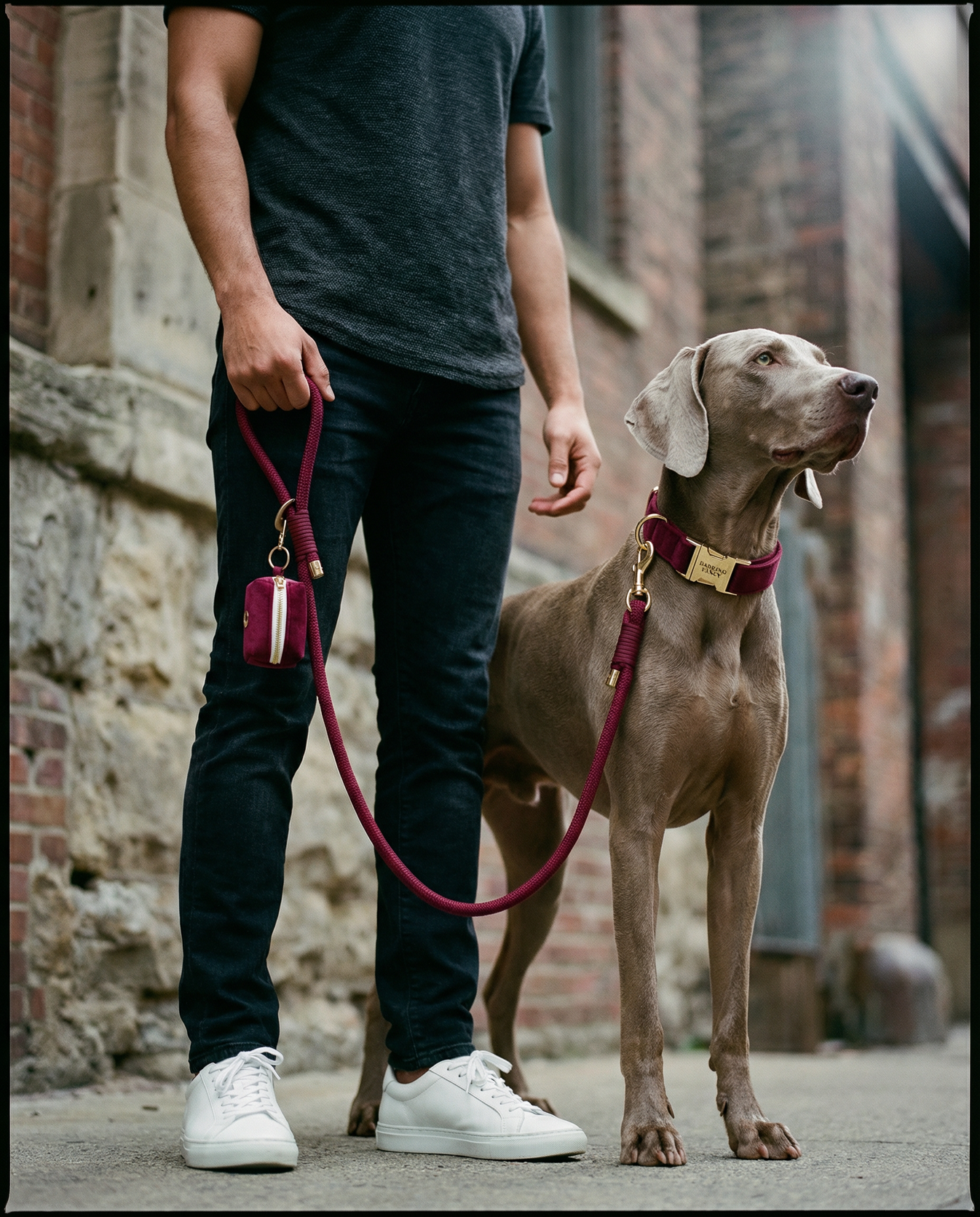 Signature Rope Leash - Wine