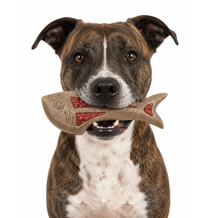Dog Fish Nylon Dog Chew & Enrichment Toy | Ultra-Durable for Aggressive Chewers | SodaPup