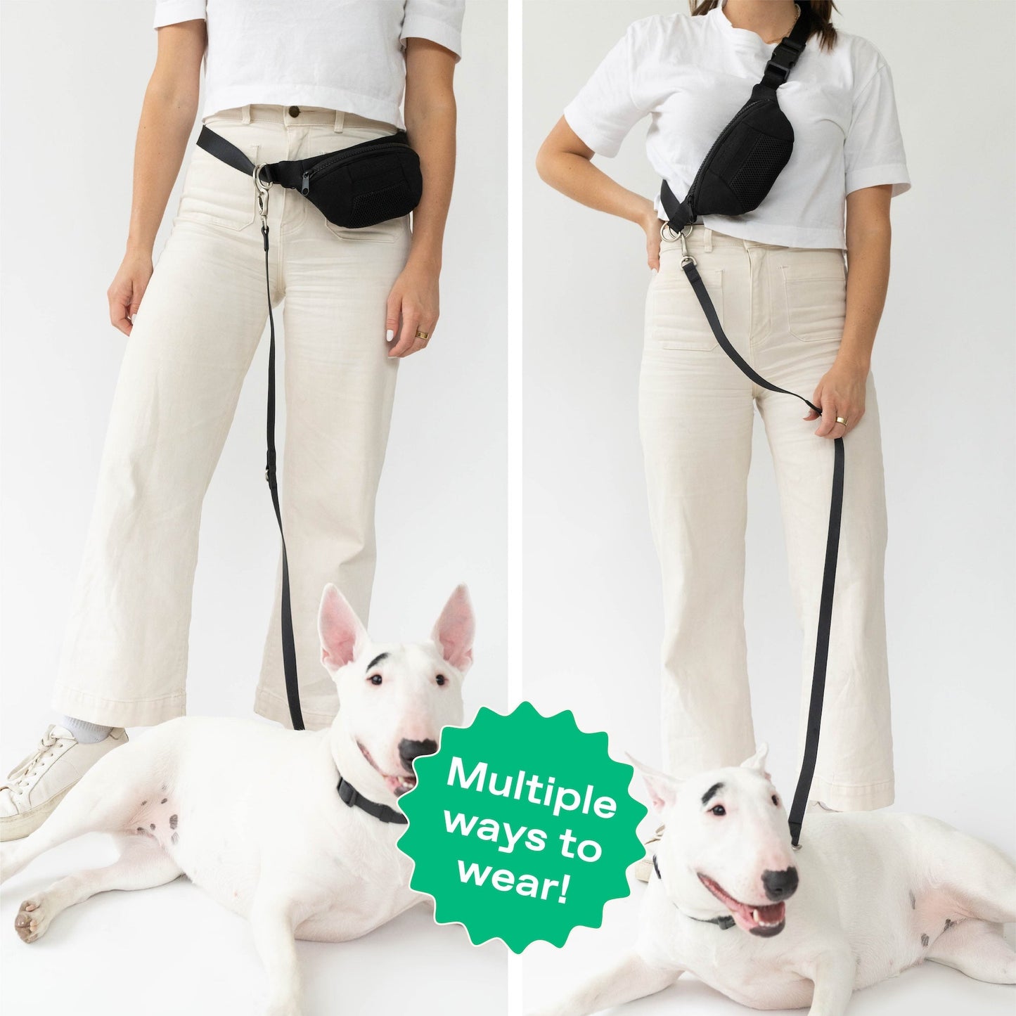Hands-Free Neoprene Dog Sling Bag with Leash Springland Pets