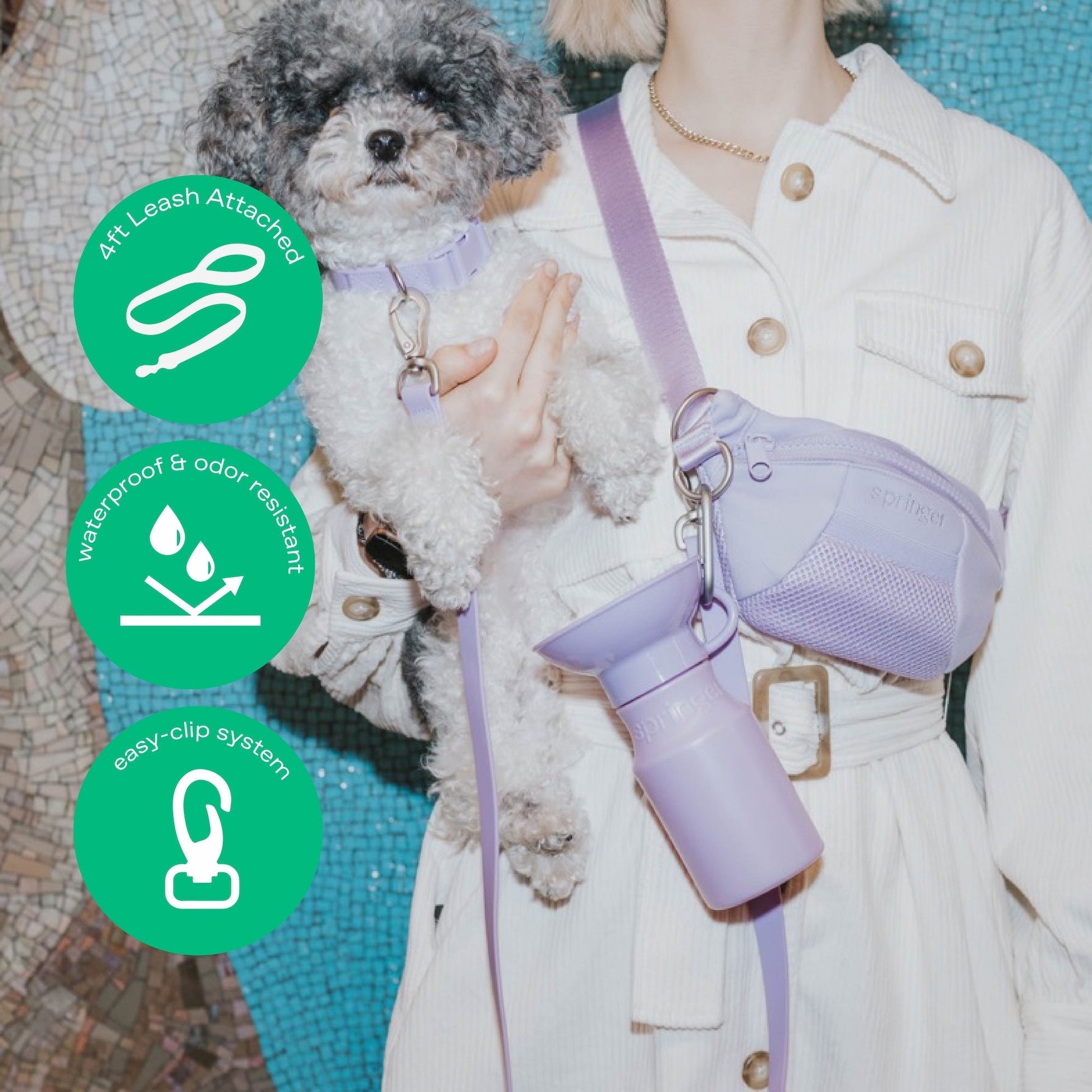 Hands-Free Neoprene Dog Sling Bag with Leash Springland Pets