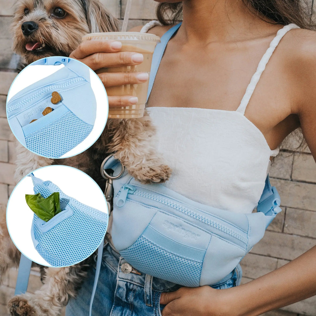 Original Hands-Free Neoprene Dog Walking Bag with 4ft Leash