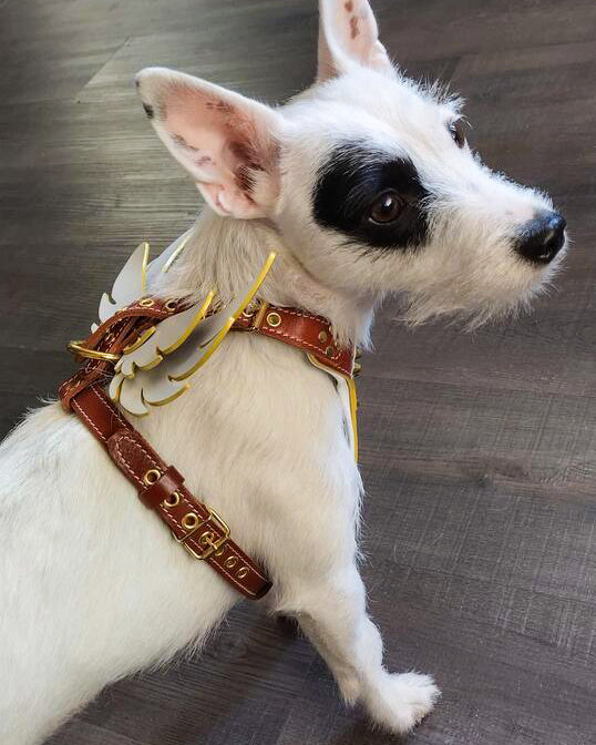 Bestia Hermes Leather Dog Harness – Small–Medium Dogs