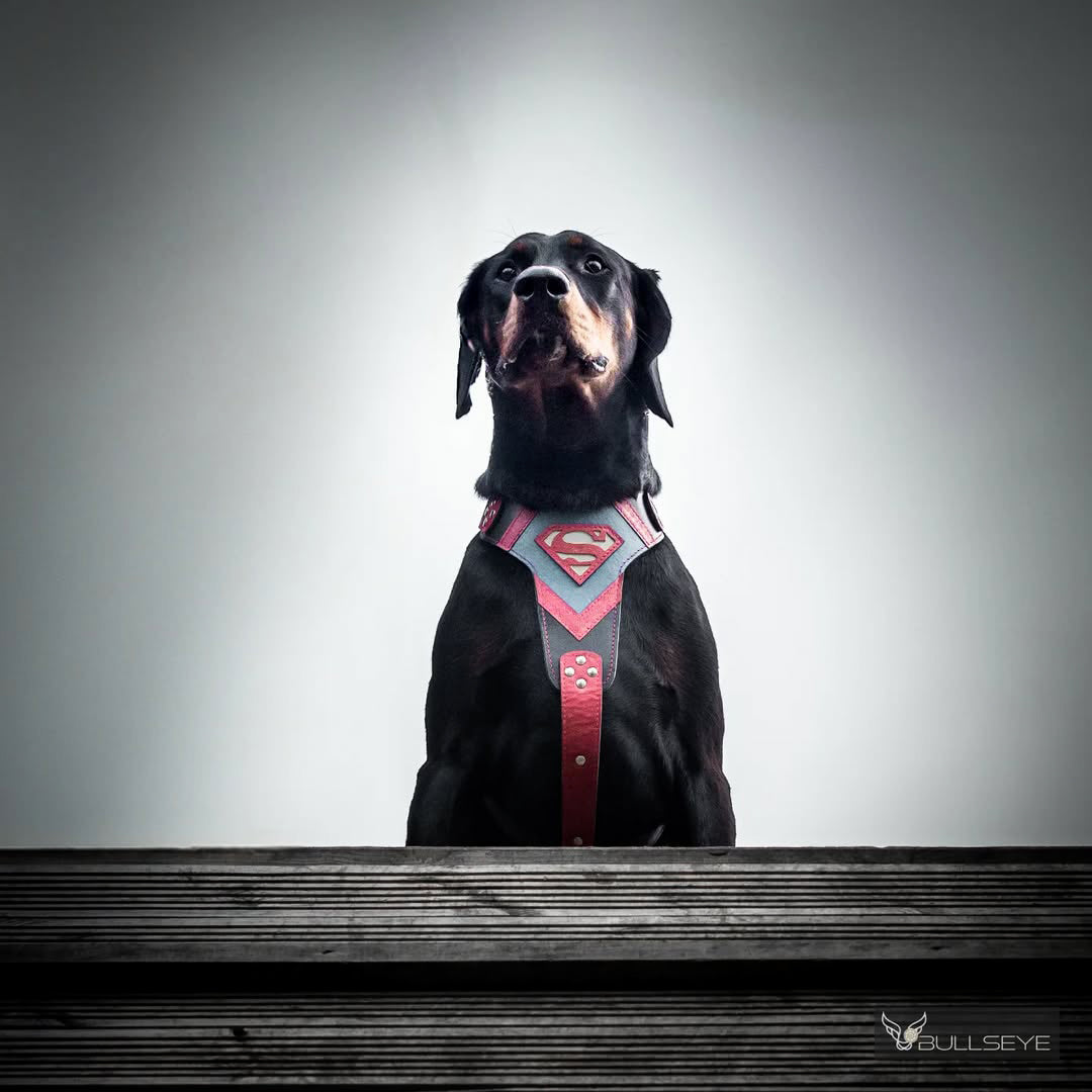 Bestia Superdog Leather Dog Harness