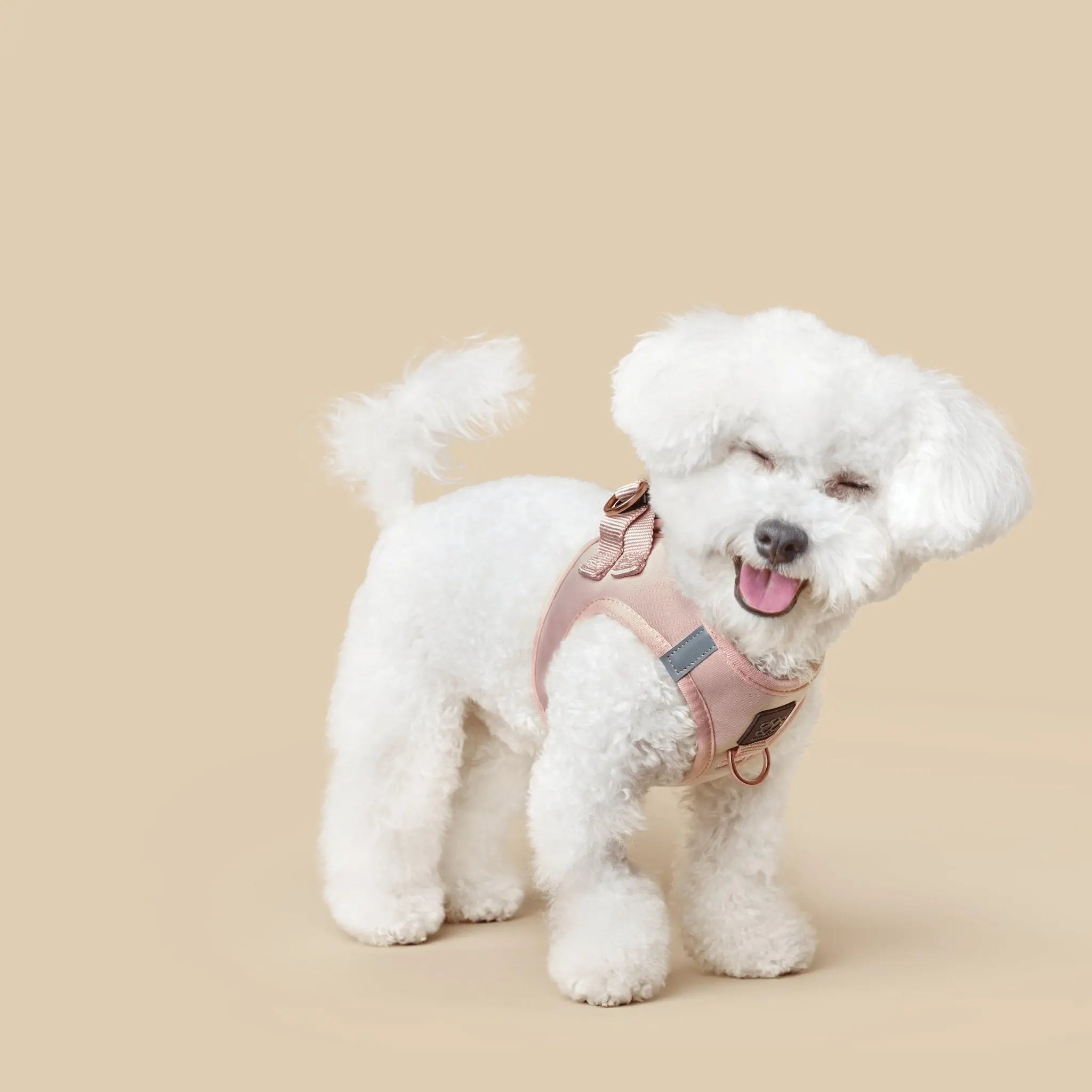 SoHo Dog Harness - Blush Pink - K9 Outdoors
