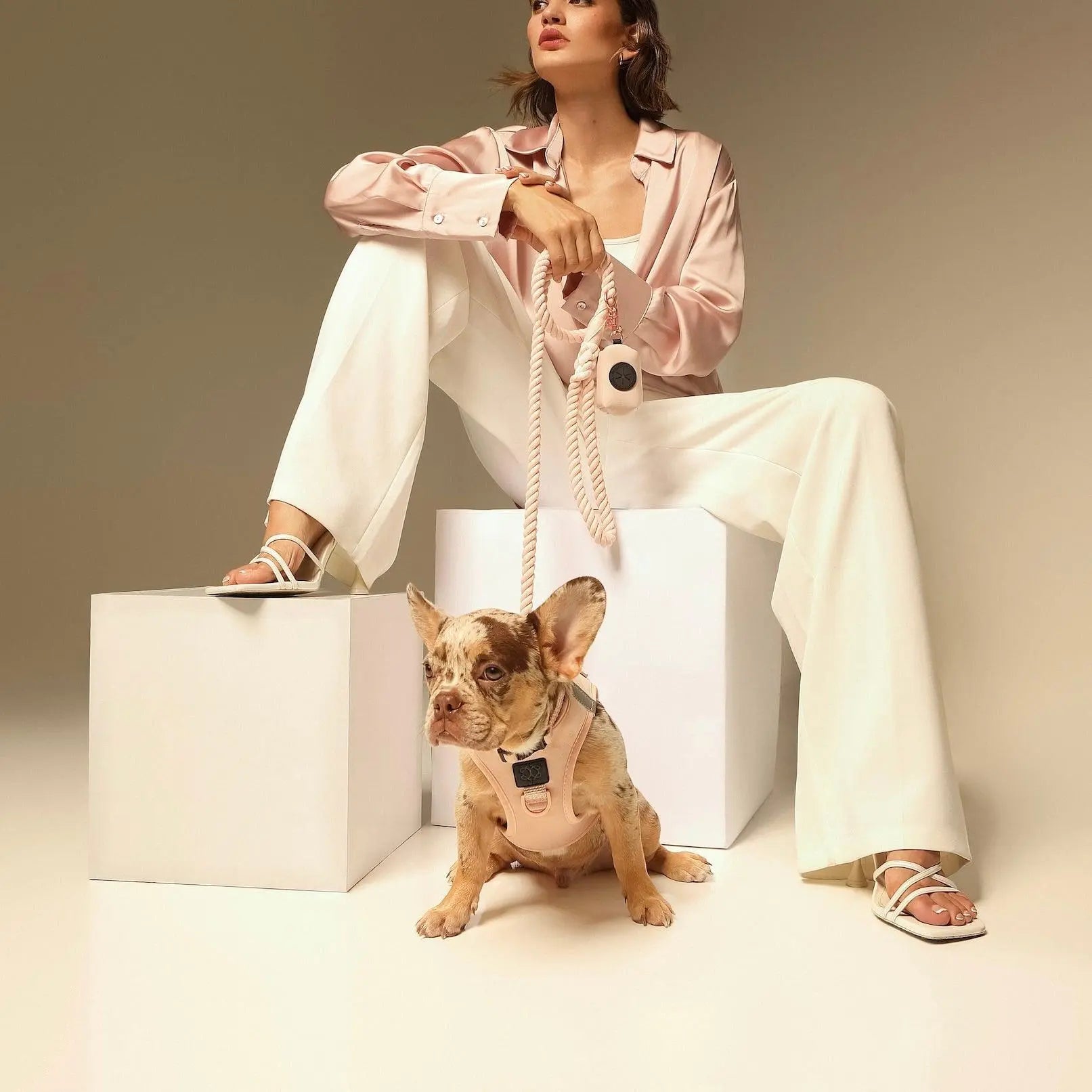 SoHo Dog Harness - Blush Pink - K9 Outdoors