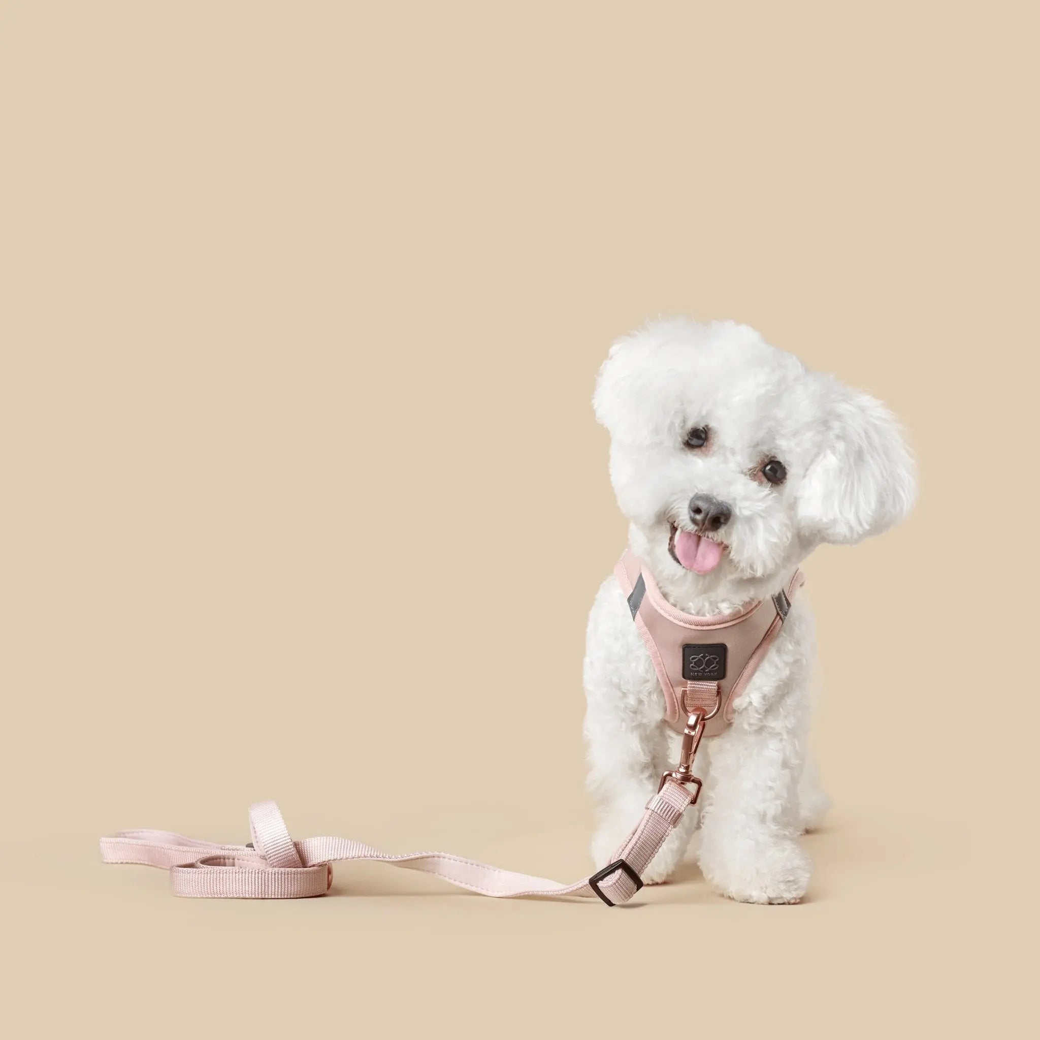 SoHo Dog Harness - Blush Pink - K9 Outdoors