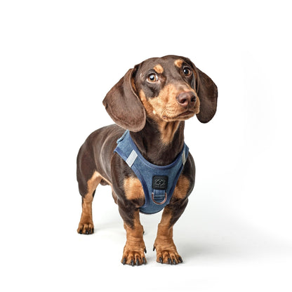 SoHo Dog Harness - Denim Dogistry™