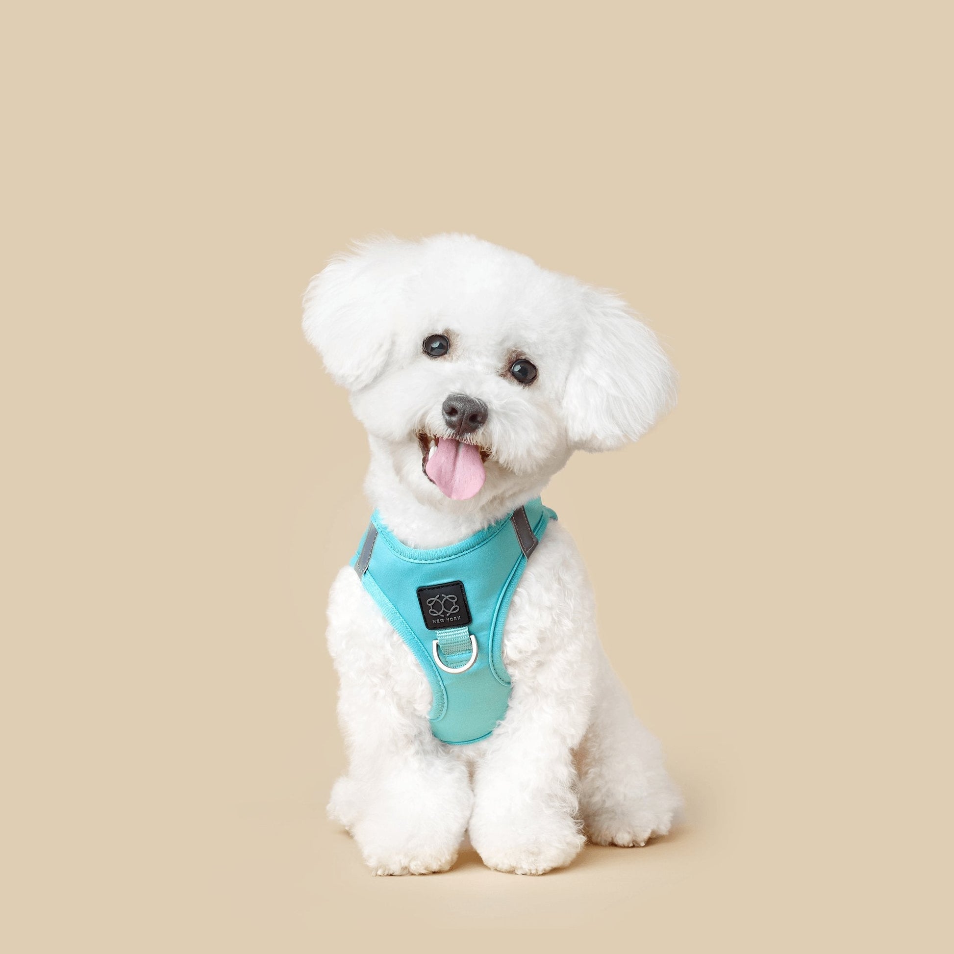 SoHo Dog Harness - Fifth Avenue Dogistry™