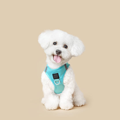 SoHo Dog Harness - Fifth Avenue Dogistry™