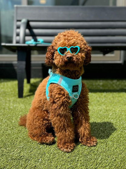 SoHo Dog Harness - Fifth Avenue Dogistry™