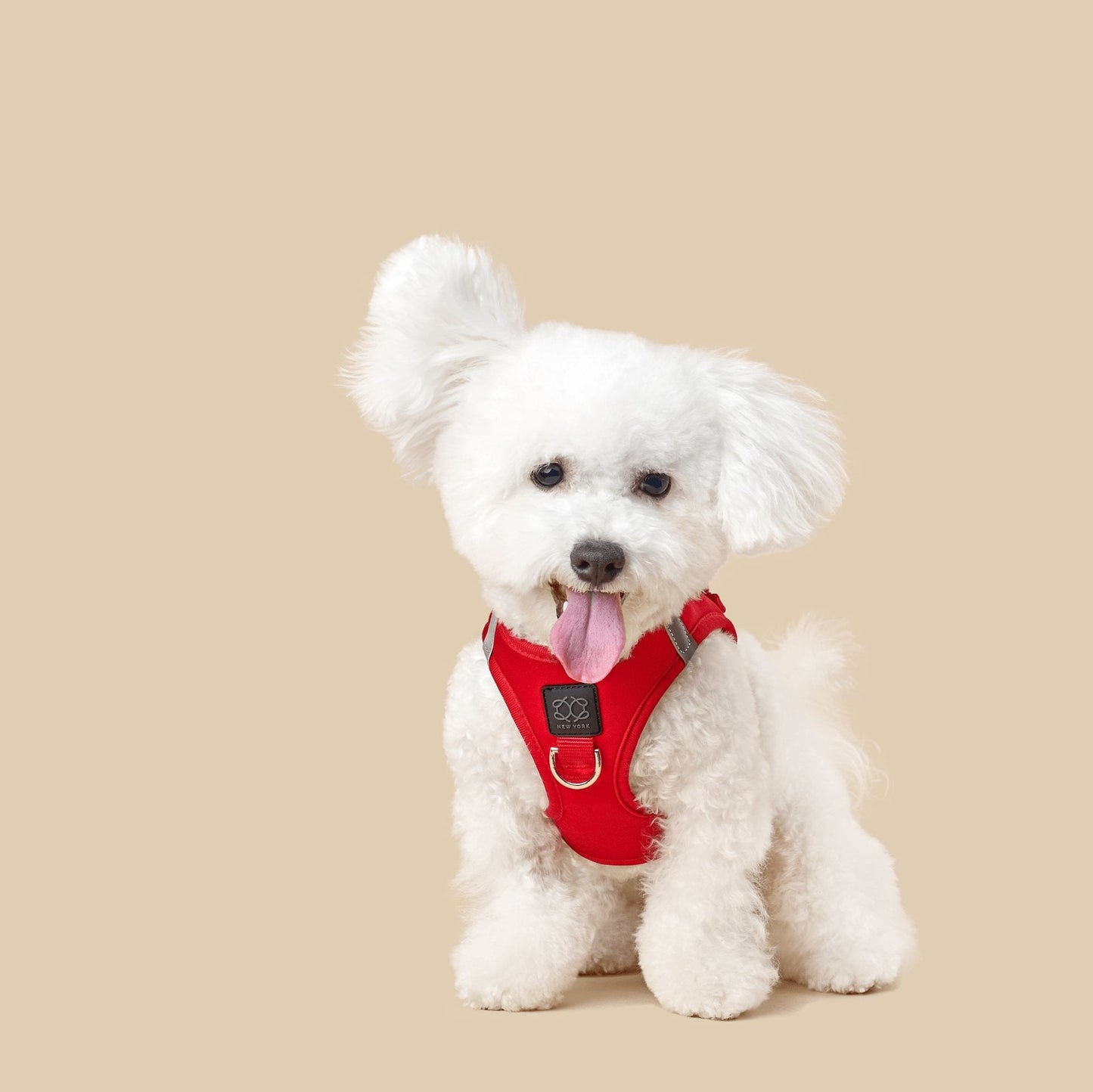 SoHo Dog Harness - Iconic Red Dogistry™