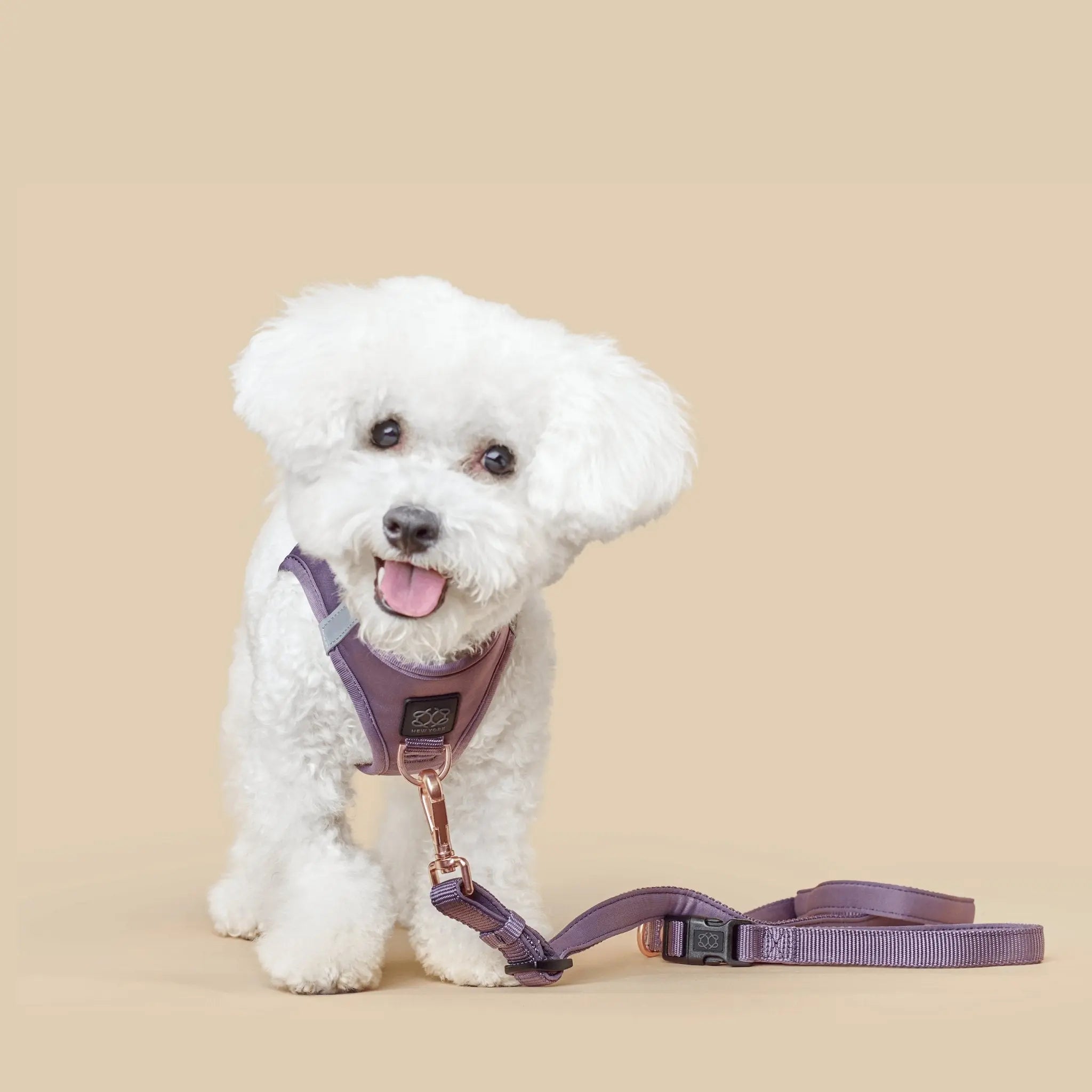 3-in-1 City Dog Leash - Lilac Gray - K9 Outdoors