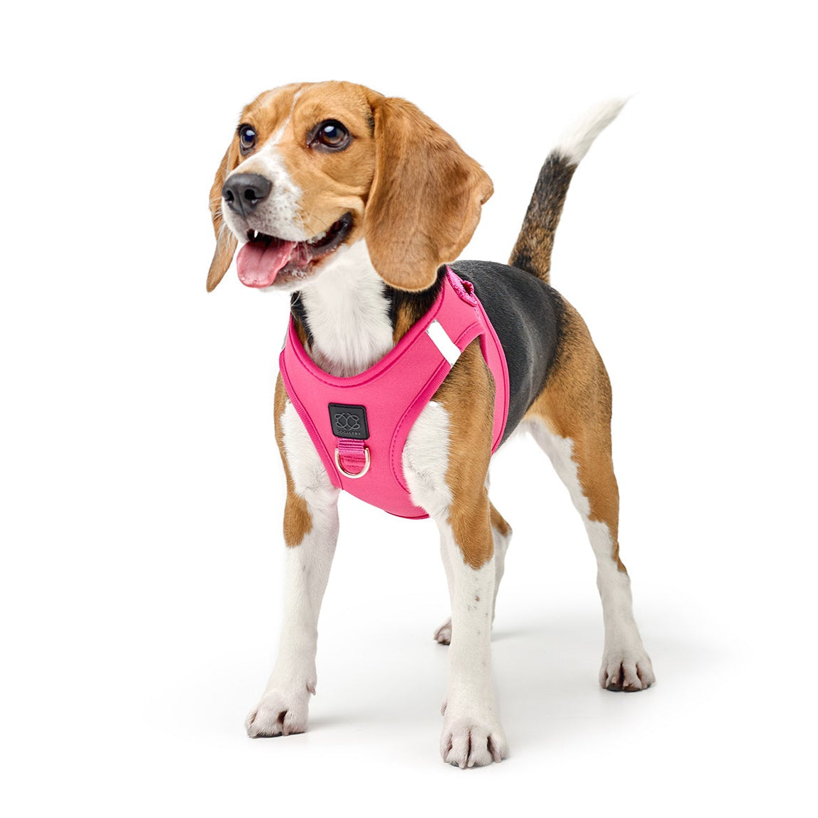 SoHo Dog Harness - Park Ave Pink Dogistry™