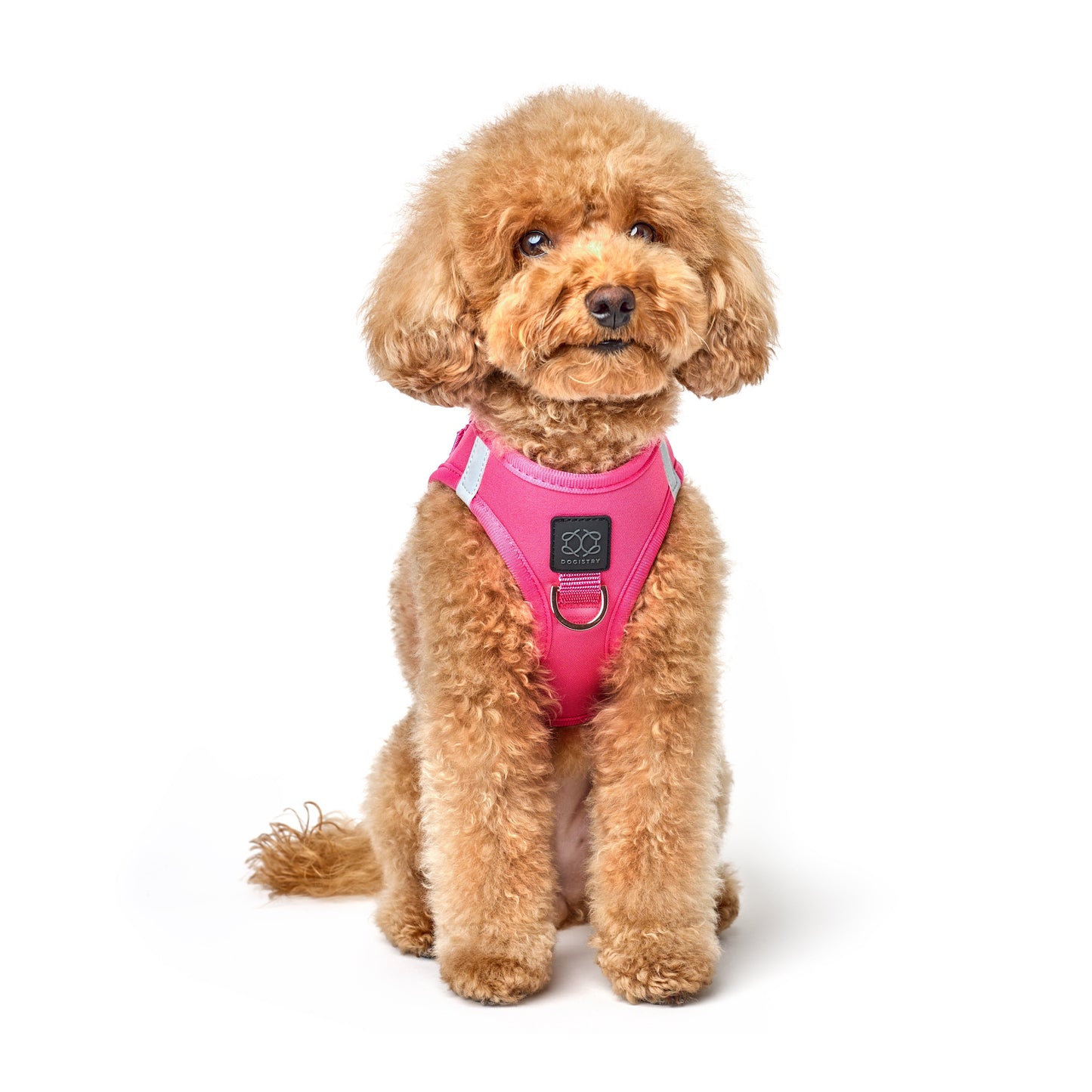 SoHo Dog Harness - Park Ave Pink Dogistry™