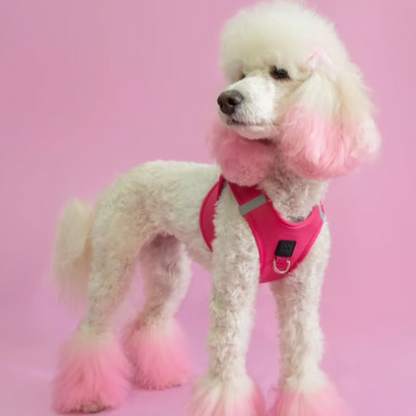 SoHo Dog Harness - Park Ave Pink Dogistry™