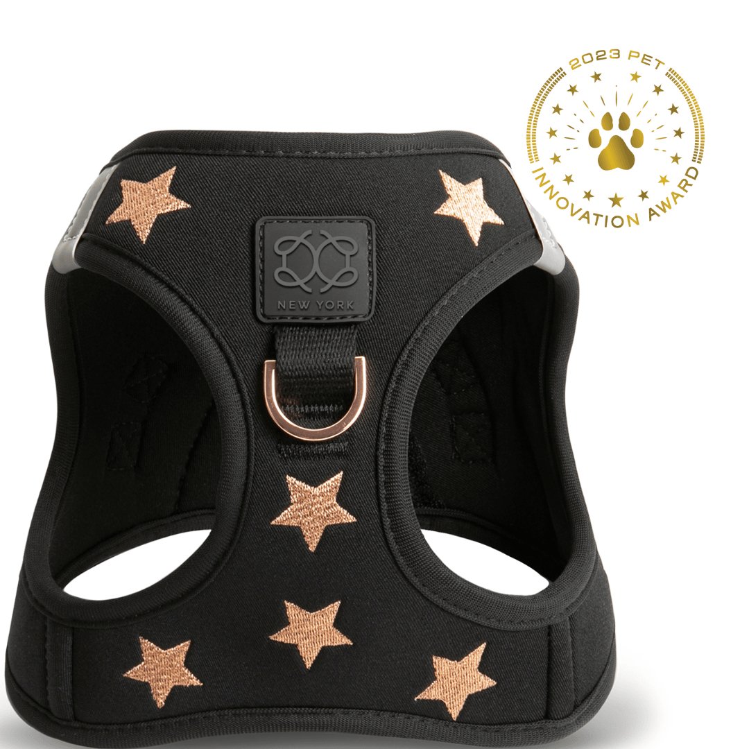 SoHo Dog Harness - Rockstar Dogistry™