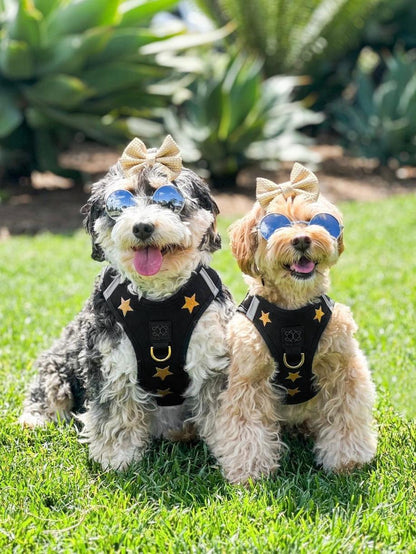 SoHo Dog Harness - Rockstar Dogistry™