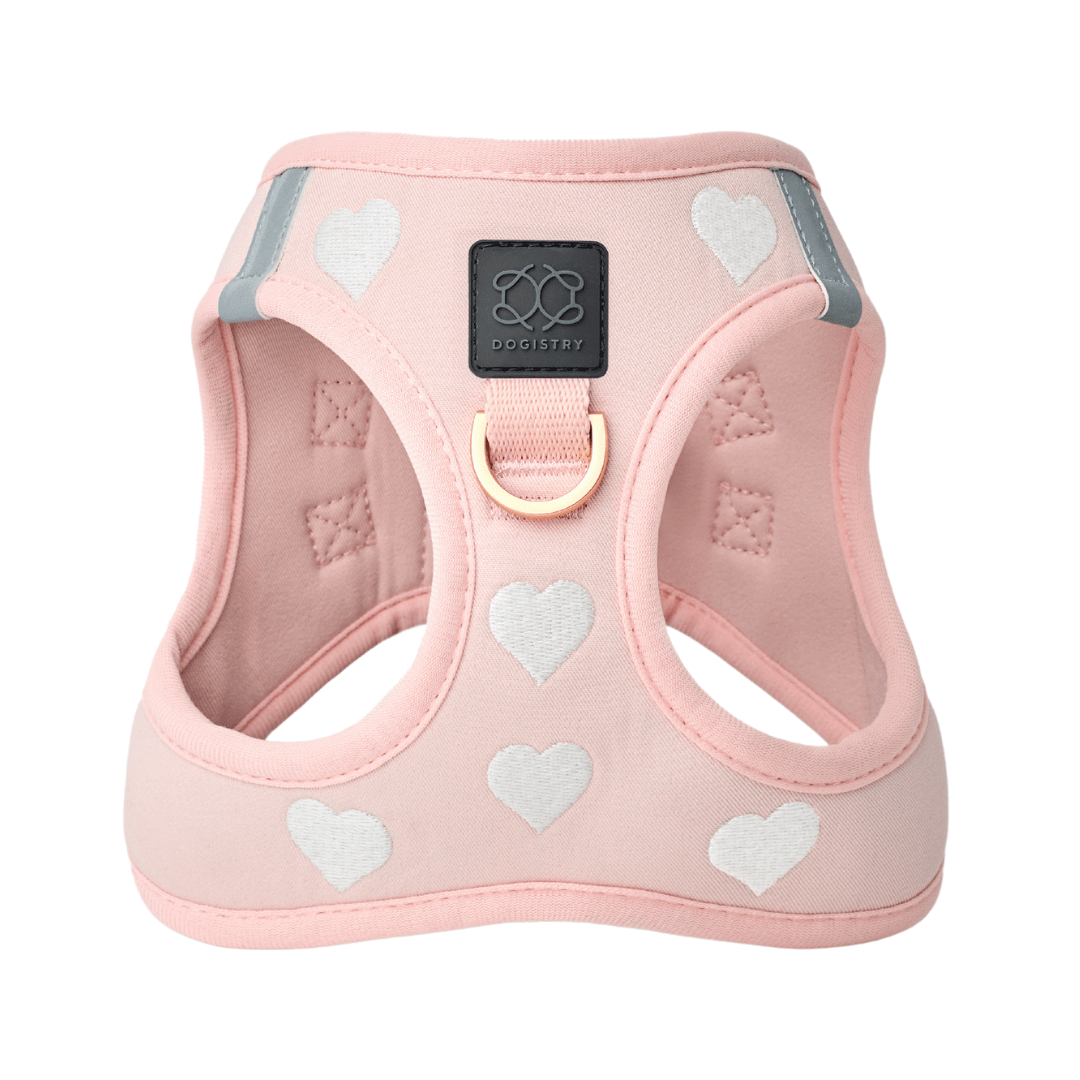 SoHo Dog Harness - Sweetheart Dogistry™
