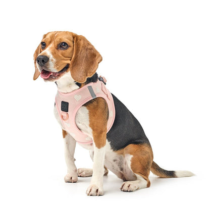 SoHo Dog Harness - Sweetheart Dogistry™
