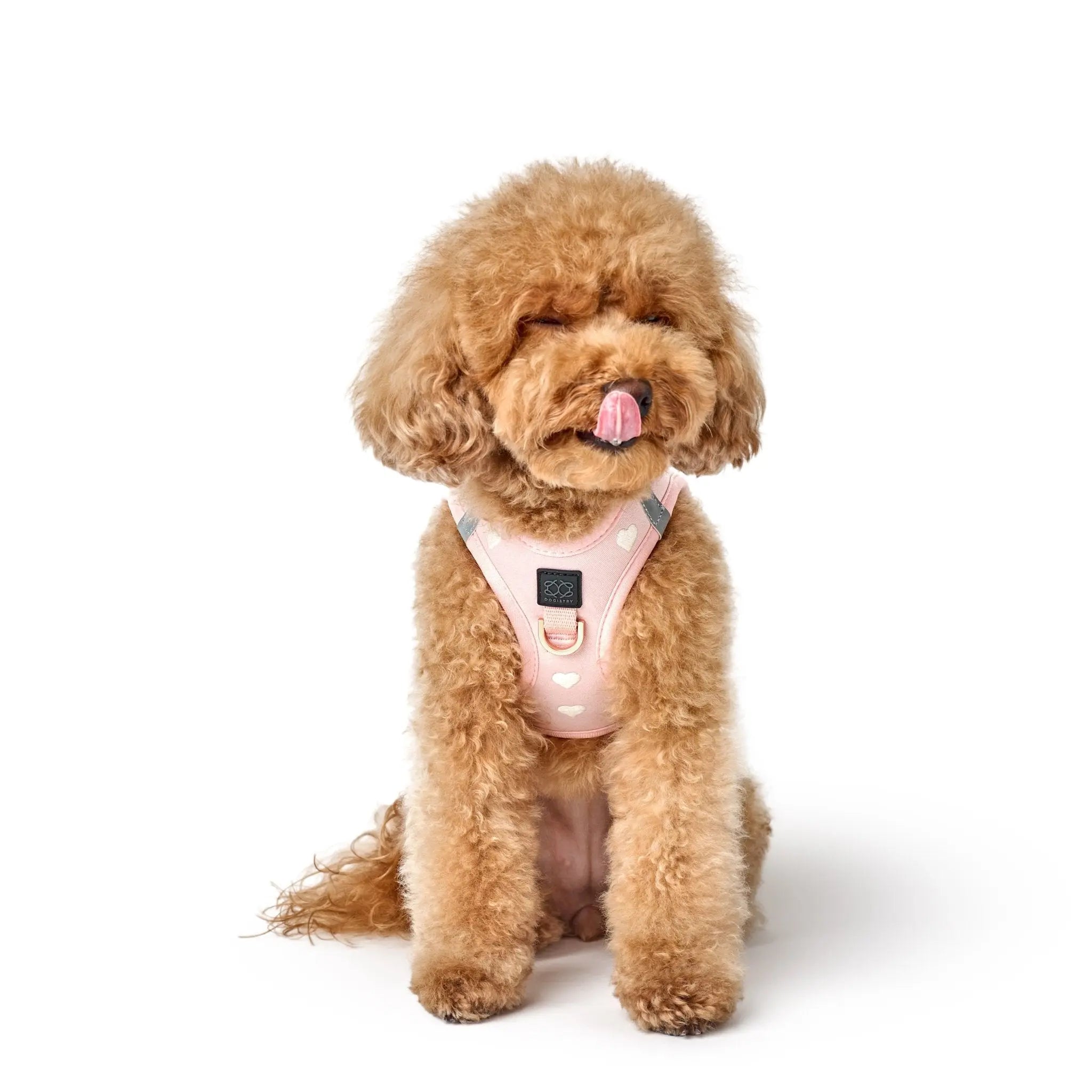 SoHo Dog Harness - Sweetheart - K9 Outdoors