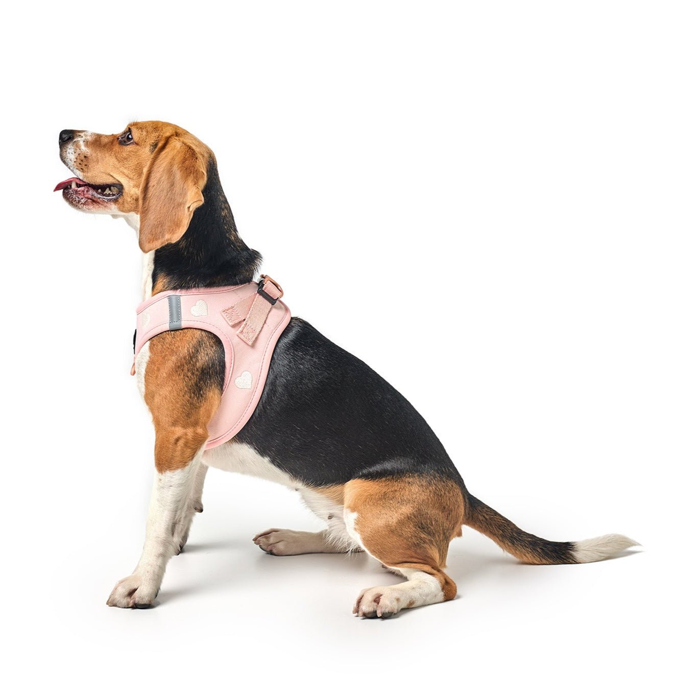 SoHo Dog Harness - Sweetheart Dogistry™