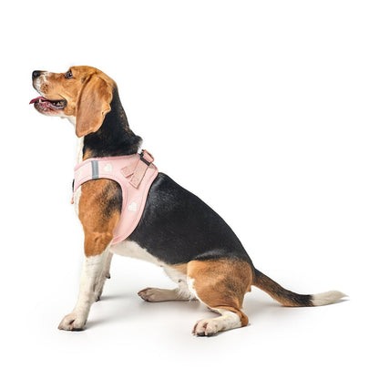 SoHo Dog Harness - Sweetheart Dogistry™